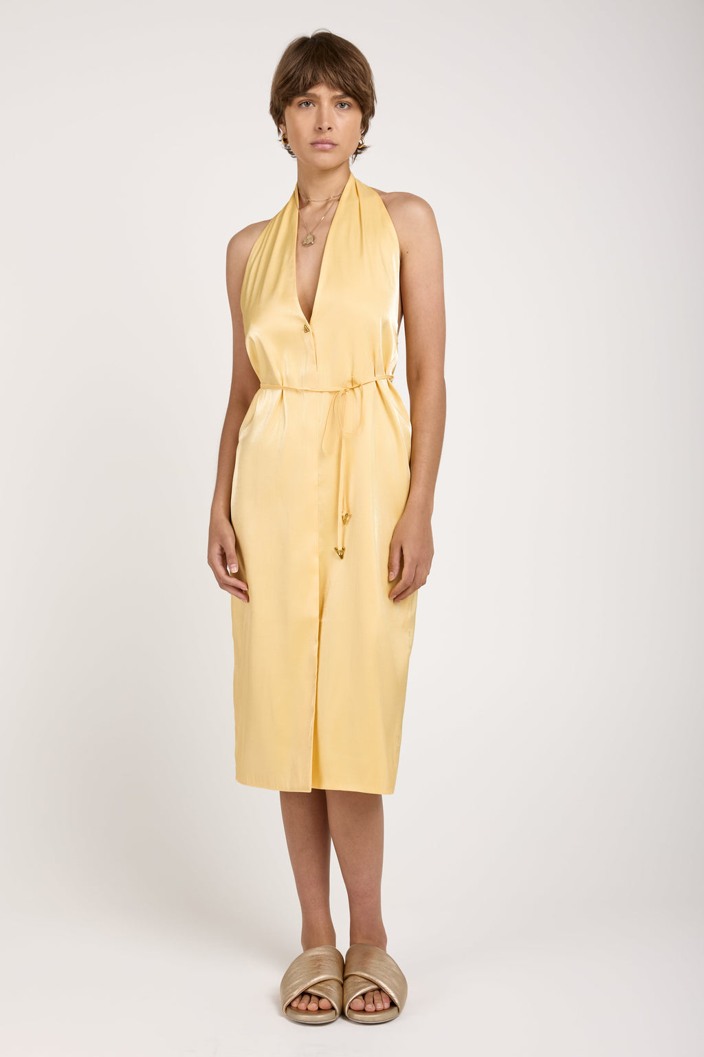 Seraphine Midi Dress in Ananas