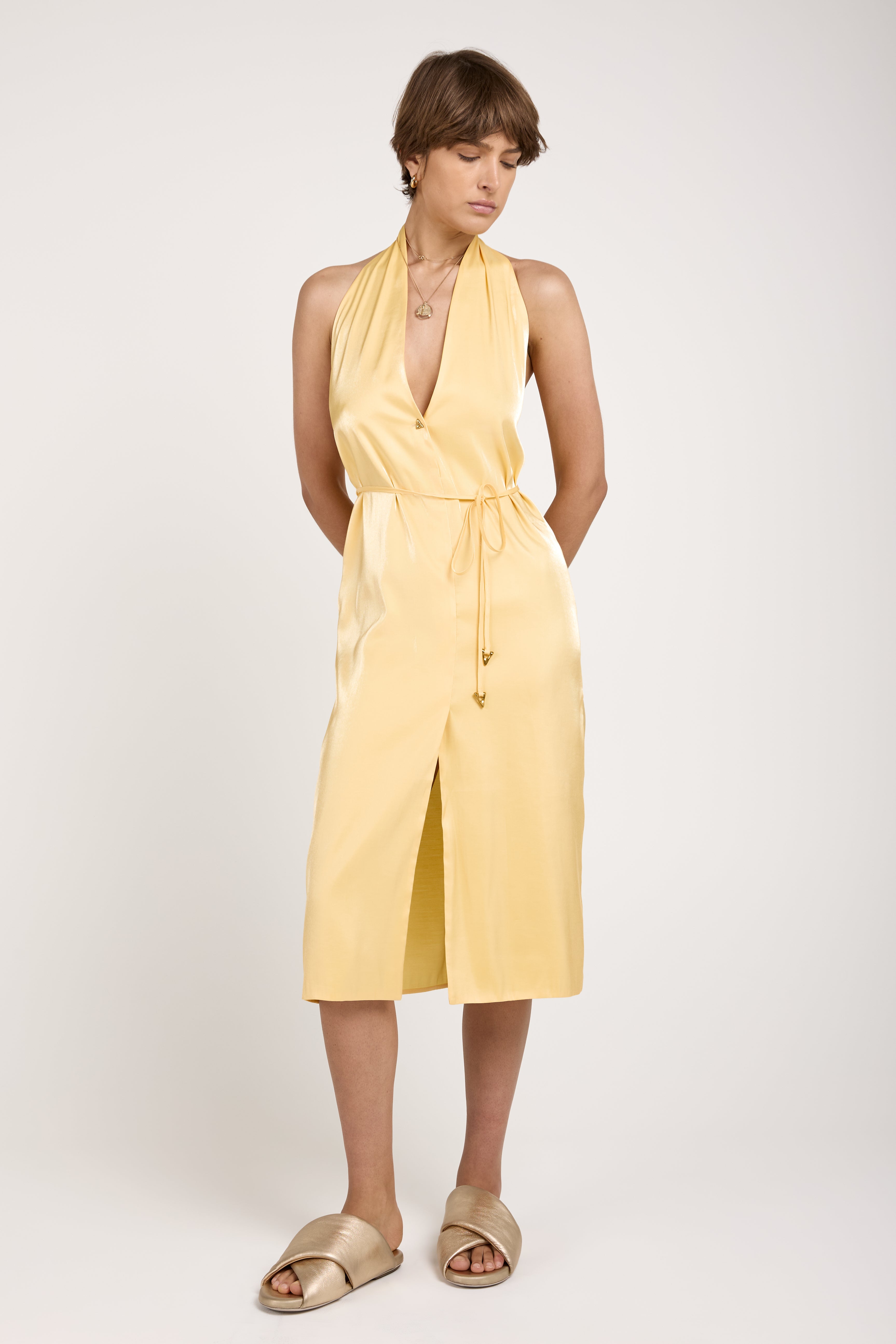 Seraphine Midi Dress in Ananas