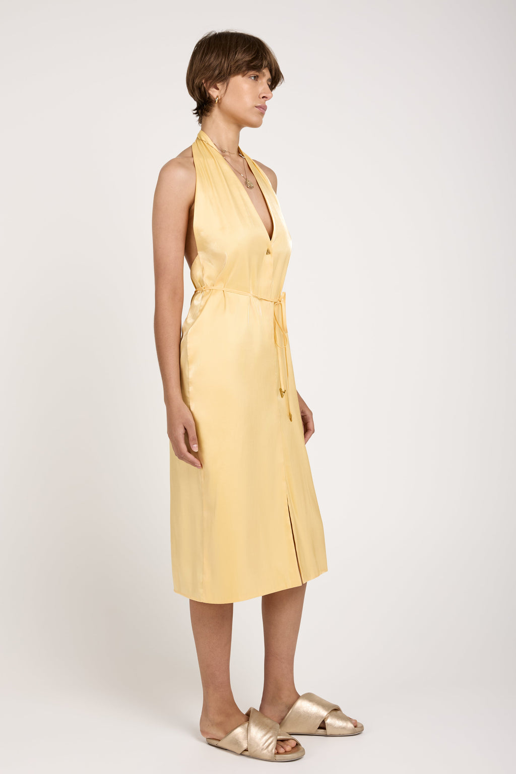 Seraphine Midi Dress in Ananas