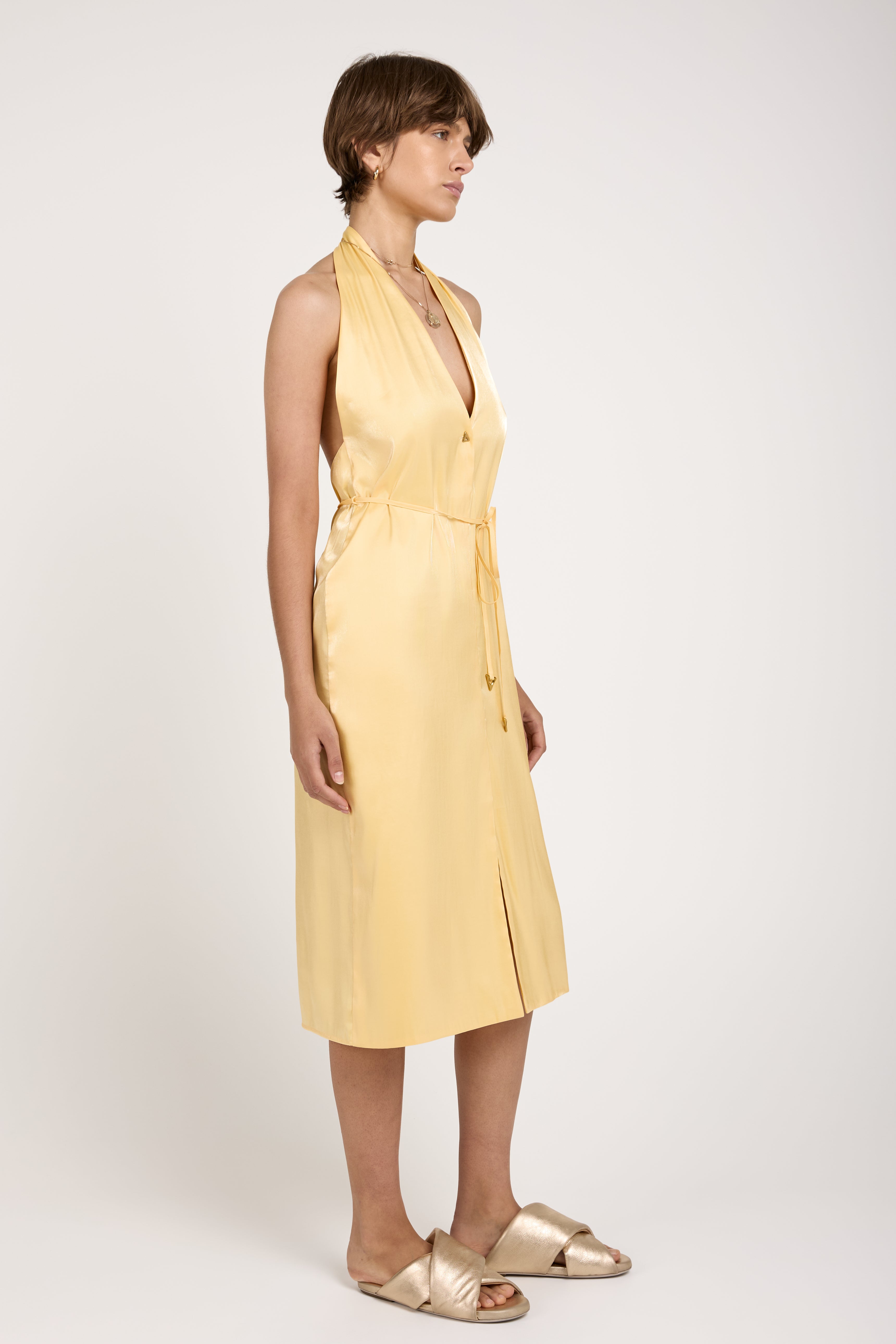 Seraphine Midi Dress in Ananas