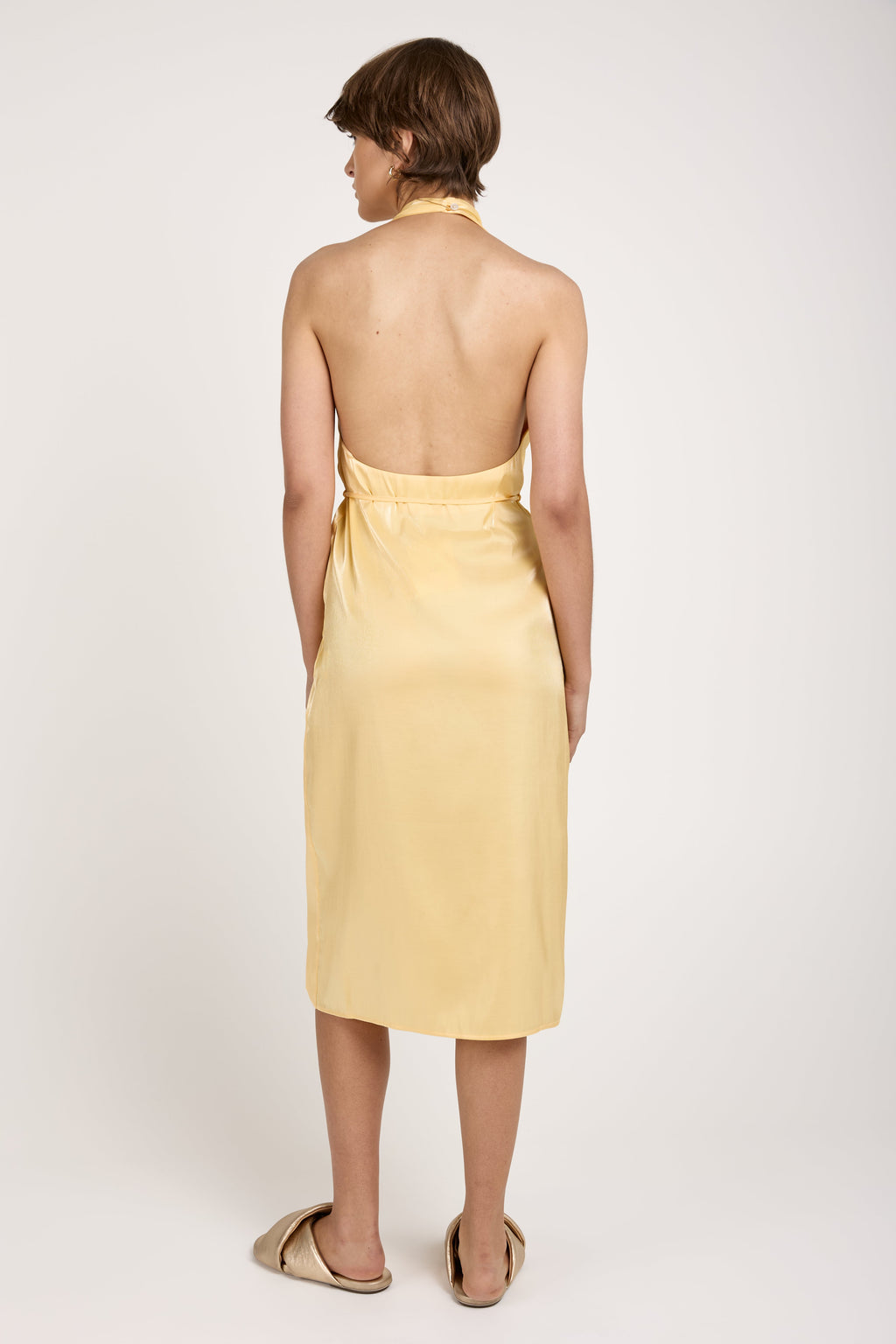Seraphine Midi Dress in Ananas
