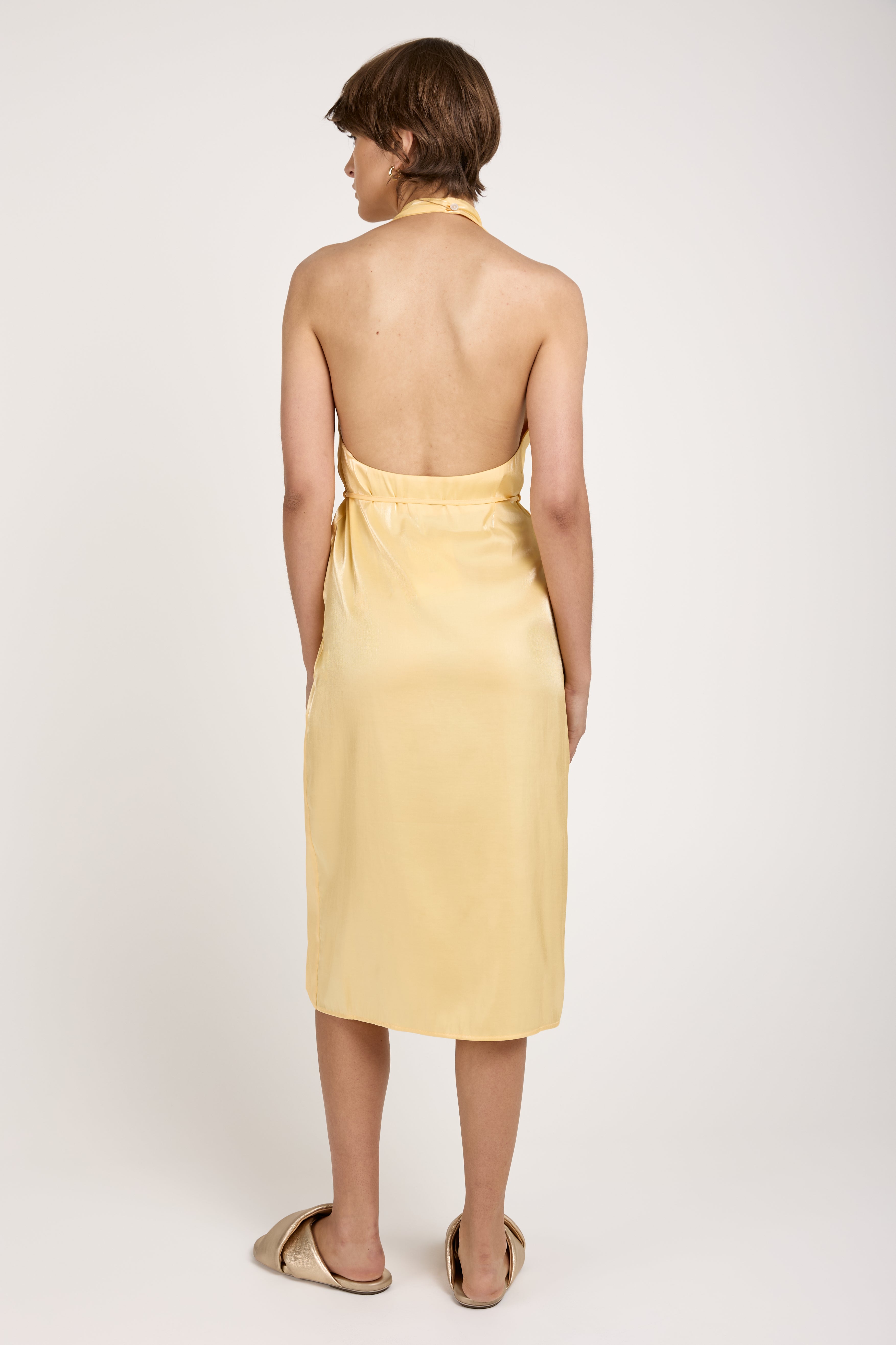 Seraphine Midi Dress in Ananas