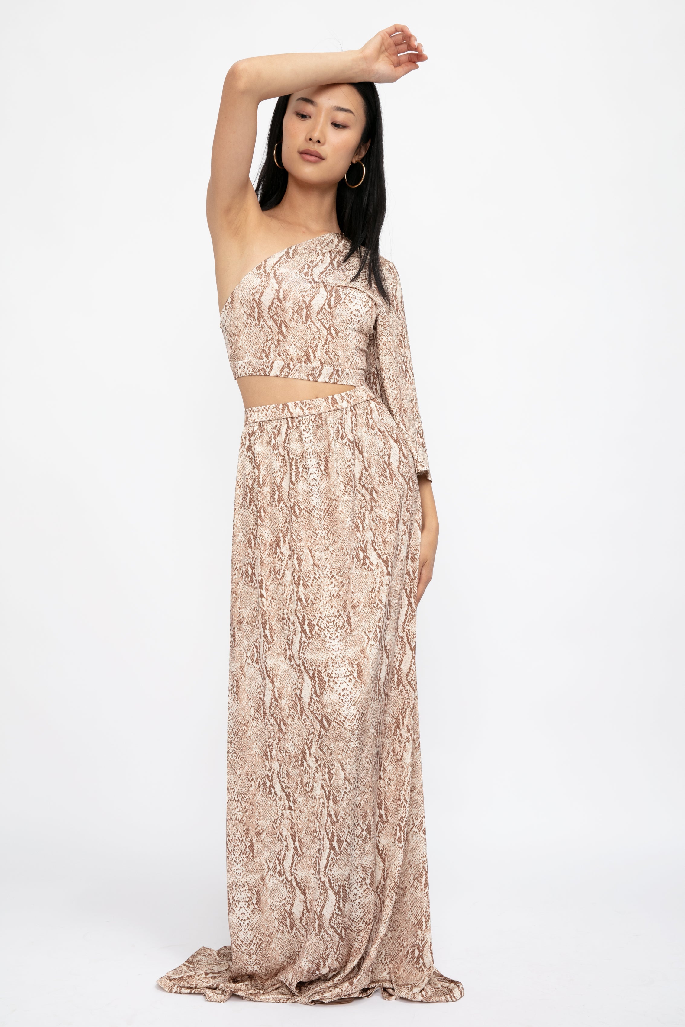 Fontana One Shoulder Dress in Neutral Multi Cobra