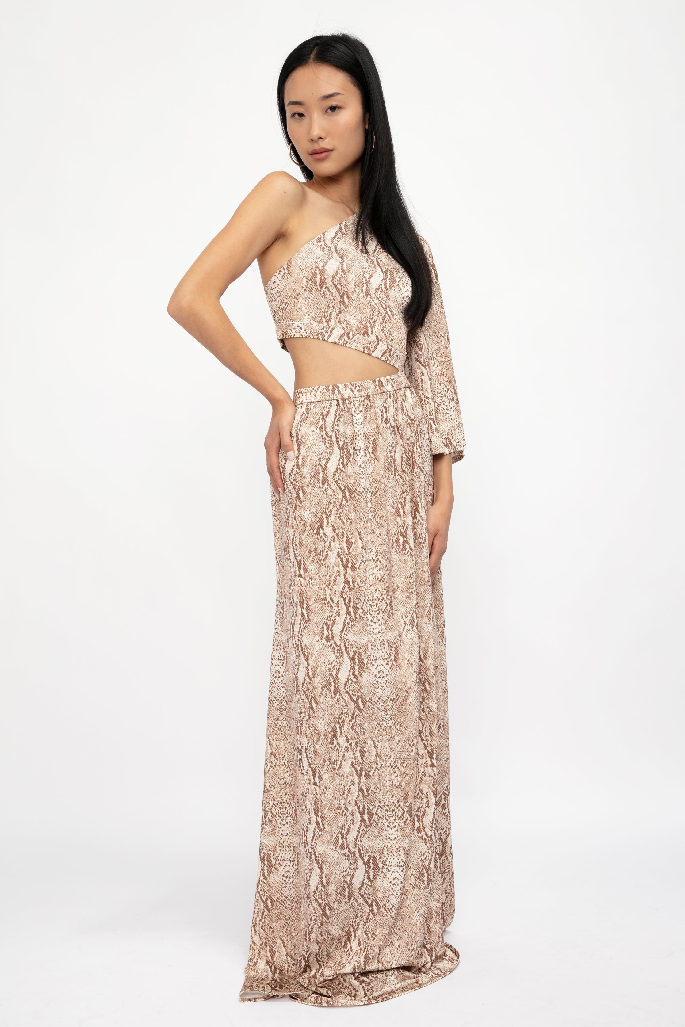 Fontana One Shoulder Dress in Neutral Multi Cobra