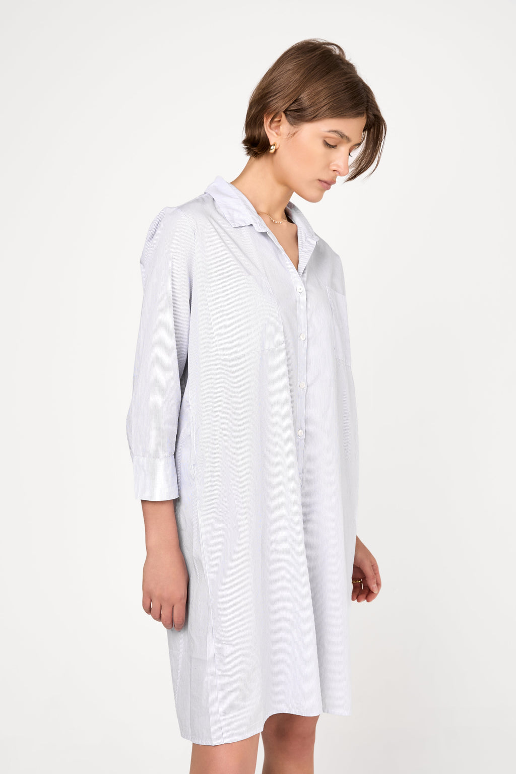 Fine Cotton Poplin Shirt Dress in Blue Stripe