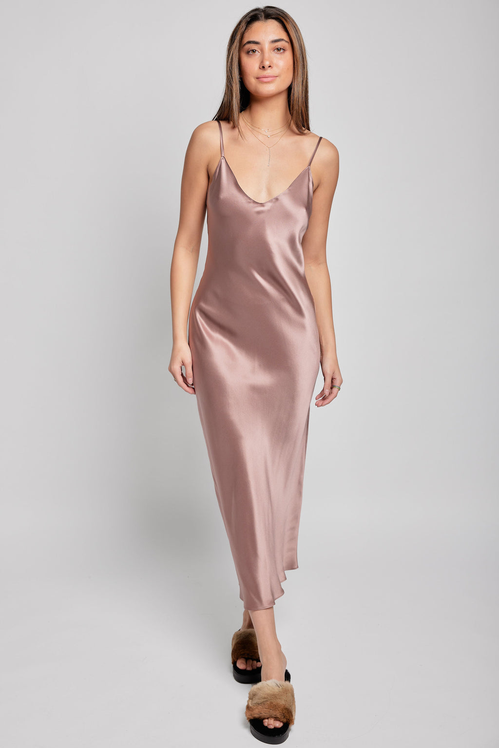 Taylor Silk Dress in Mink