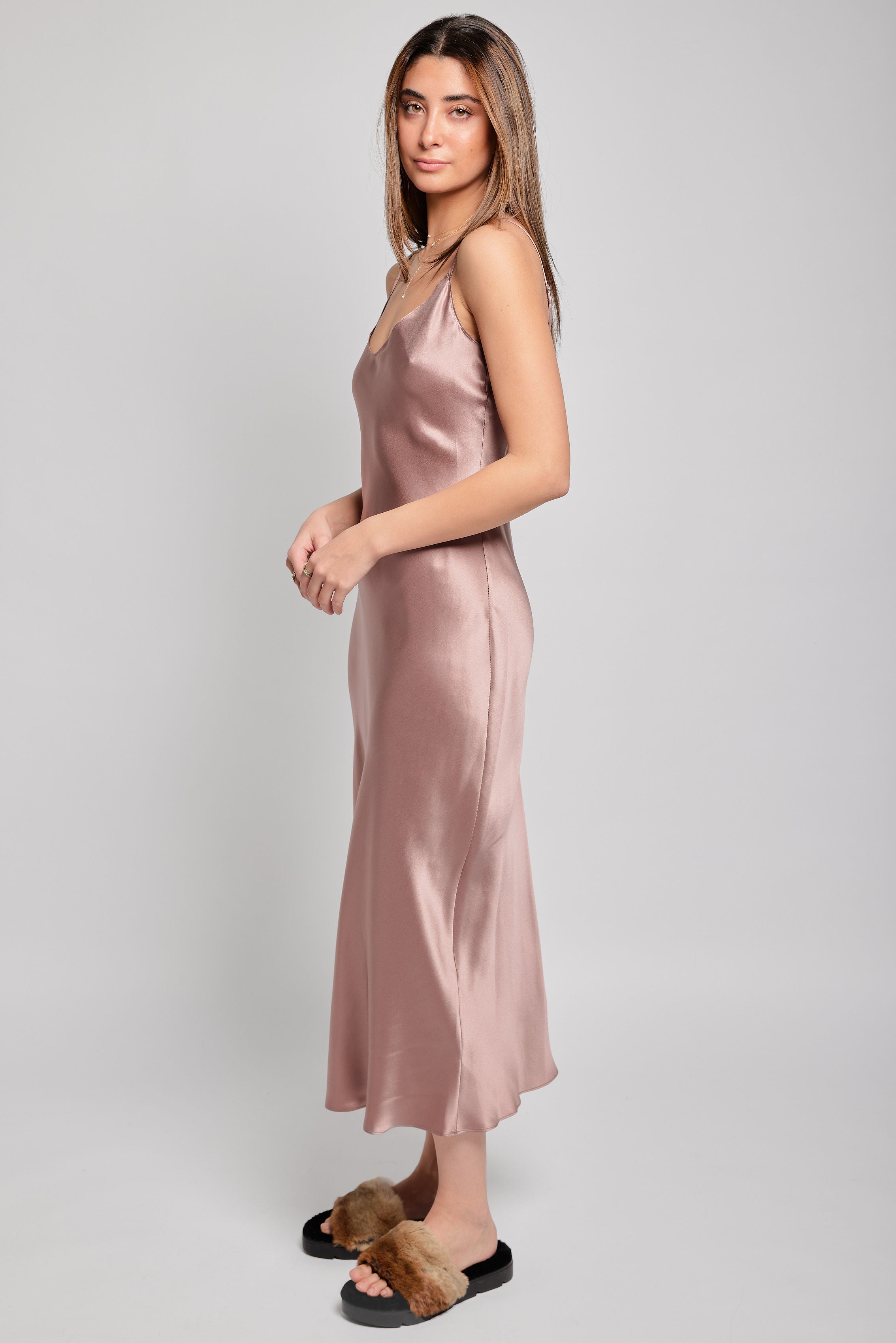 Taylor Silk Dress in Mink